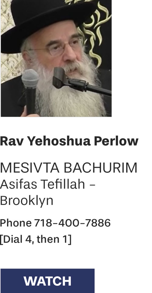 Rav Perlow