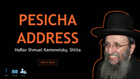 HaRav Shmuel Kamenetsky