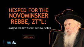 HaRav Yisroel Perlow