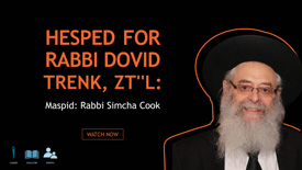 Rabbi Simcha Cook